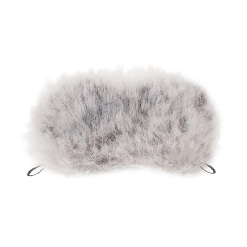 WS-11ウインドスクリーン