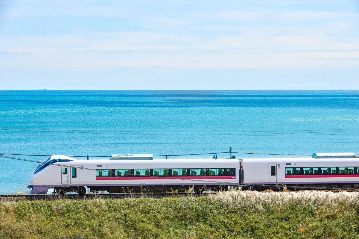 100年先も変わらぬ海で