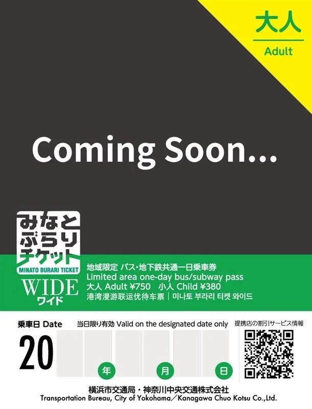 みなとぶらりチケットワイド