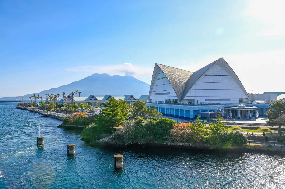 桜島を背景に、海辺に建つモダンな建築物とヤシの木