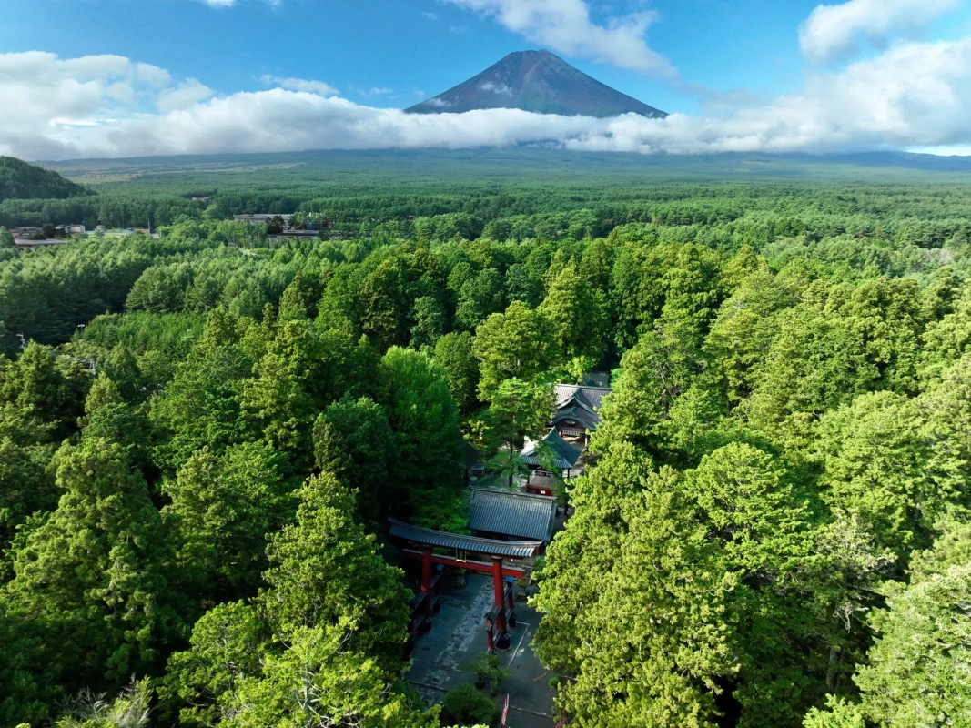 広大な森林の中に佇む日本の神社と、その奥に雄大にそびえる富士山