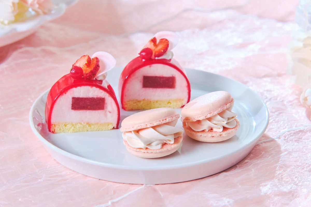 ドーム型ケーキとマカロン