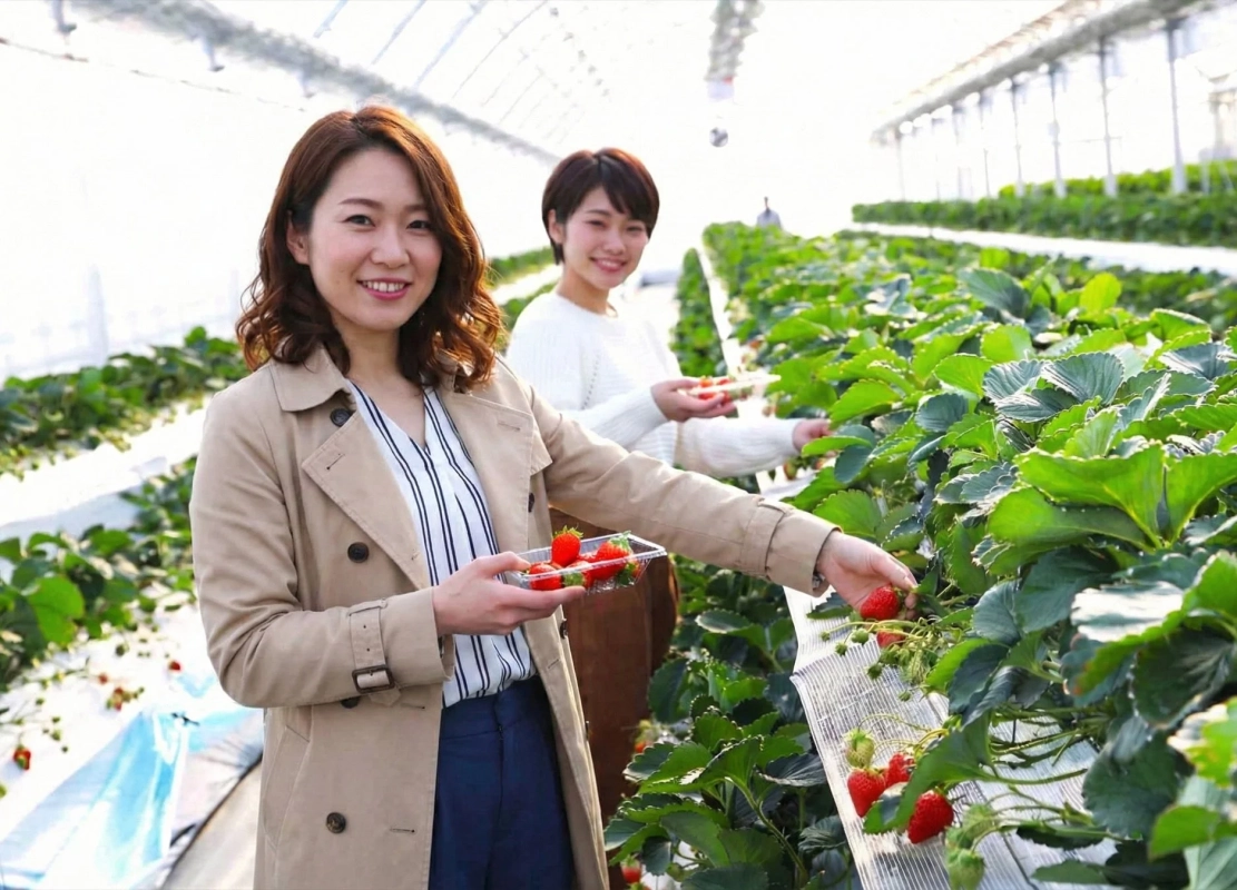 二人の女性が明るい温室でいちご狩りを楽しんでいます