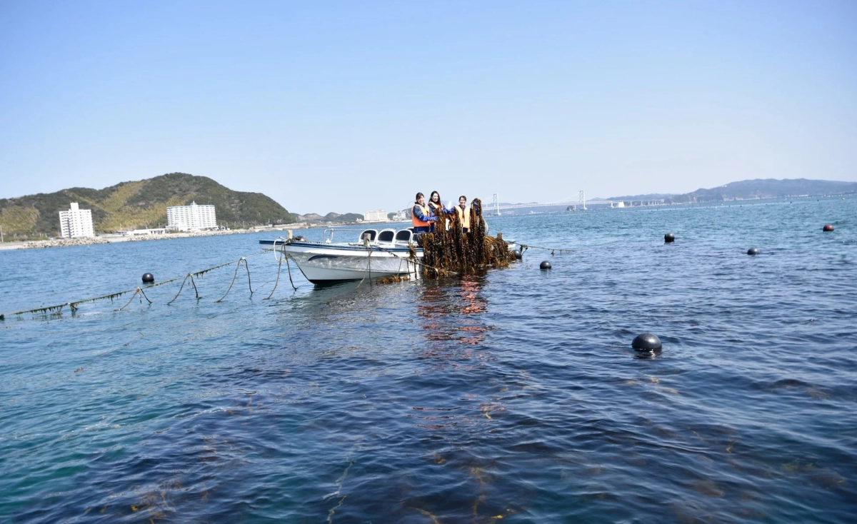 青い海に浮かぶ小舟の上で、ライフジャケットを着用した3人の女性が大量の海藻に囲まれています