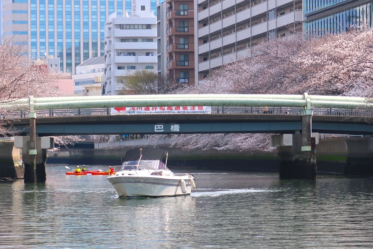 水上交通 さくらクルーズ