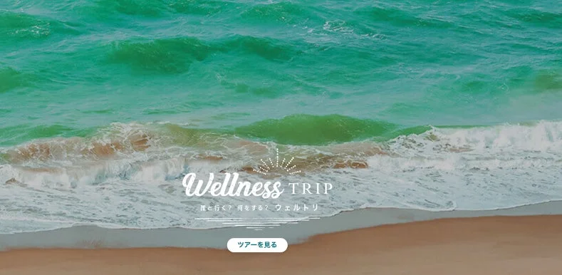 Wellness TRIP
