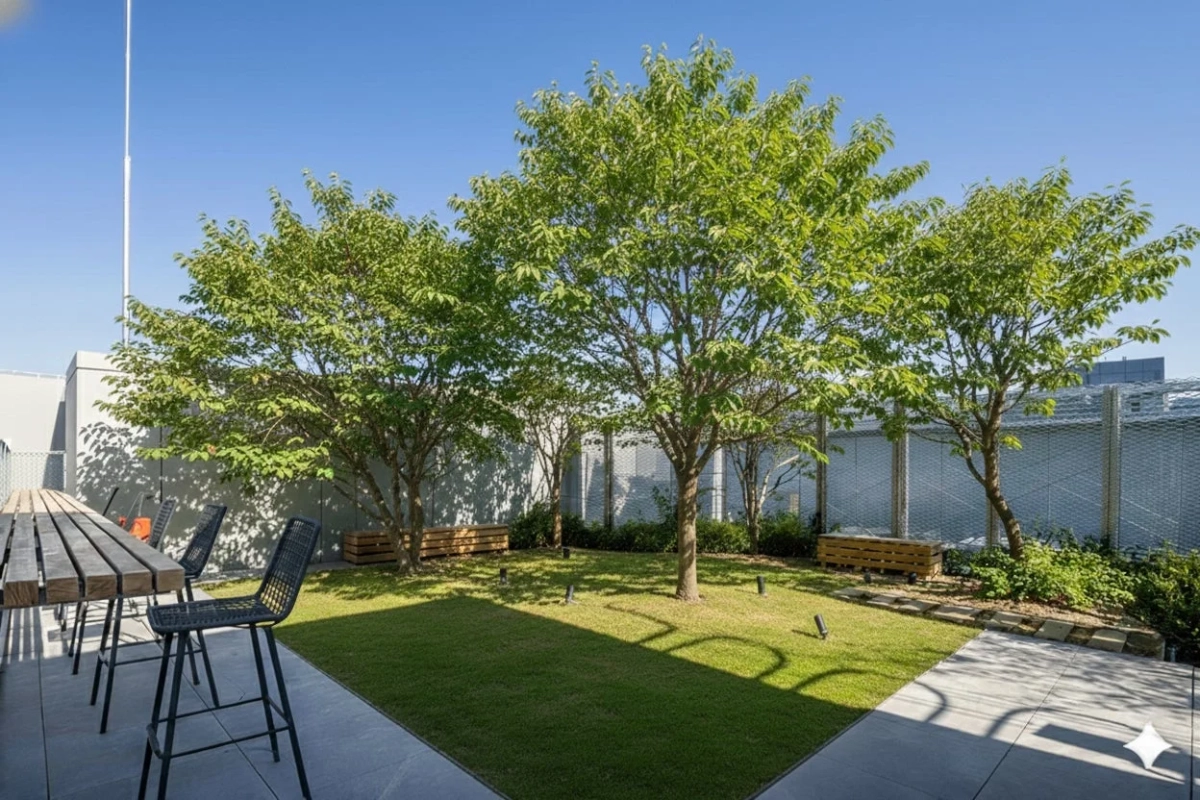 晴れた日の屋上庭園