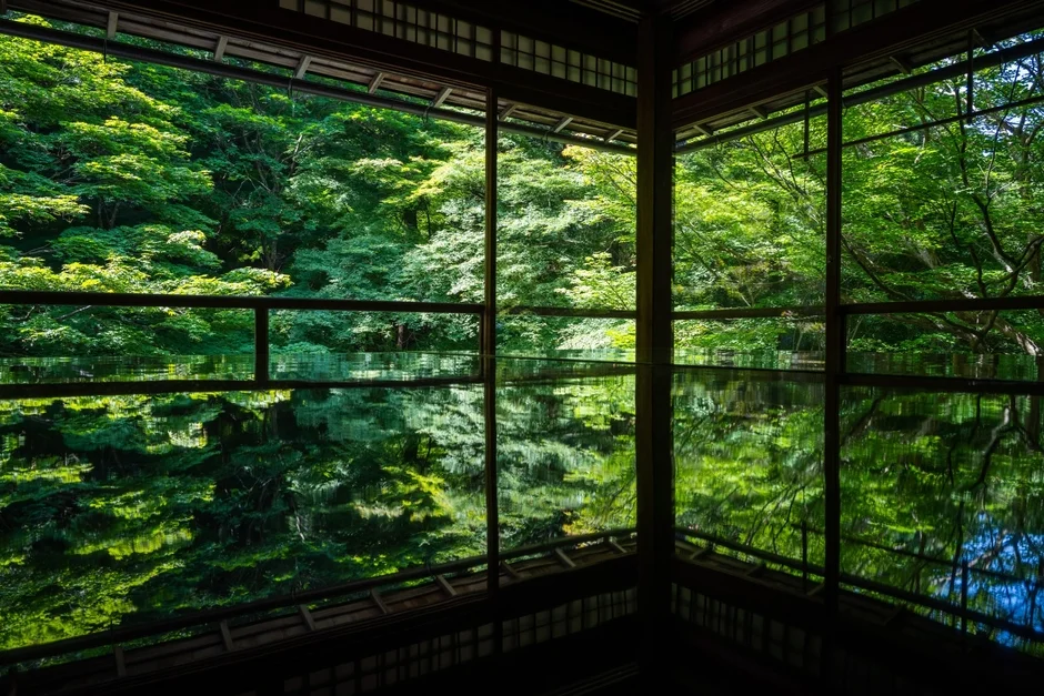 伝統的な和室から望む、新緑が美しい森林の景色