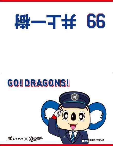 DOALA TRAIN枕カバー