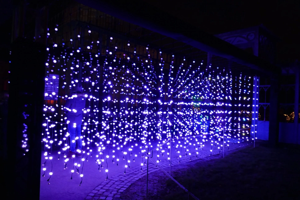 青紫色のLEDライトによるイルミネーション