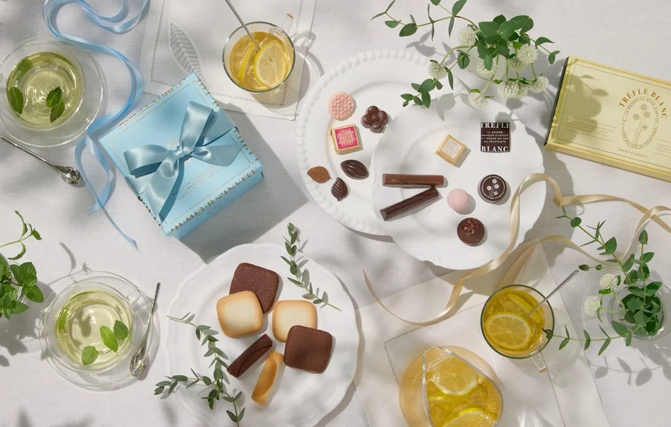 モロゾフ トレフルブラン