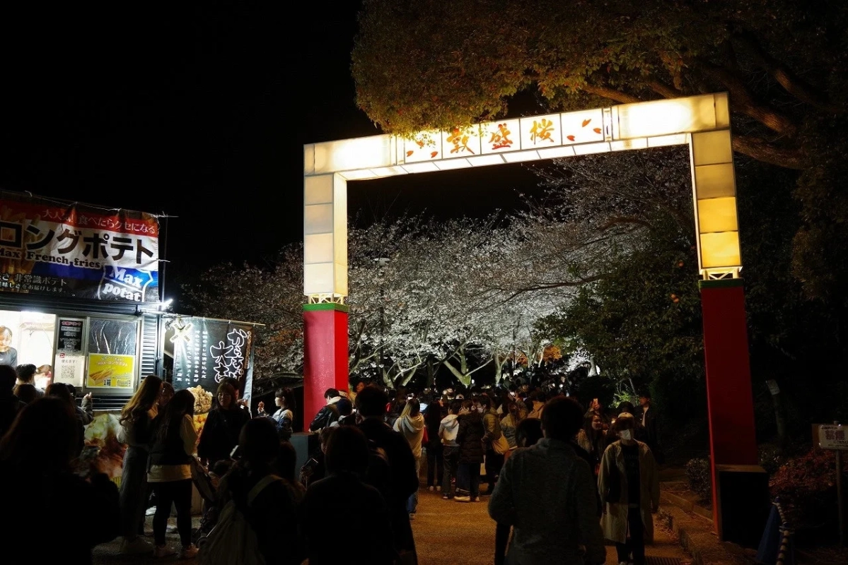 夜桜まつりの賑やかな様子