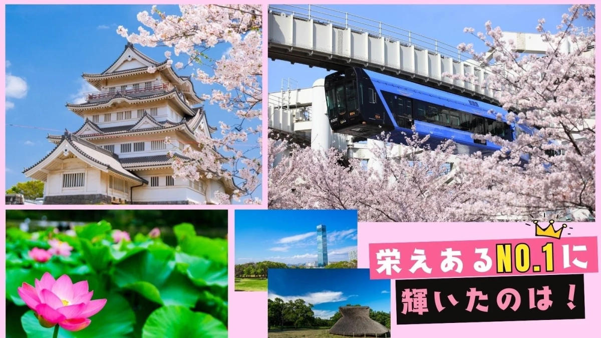 読者アンケート候補画像