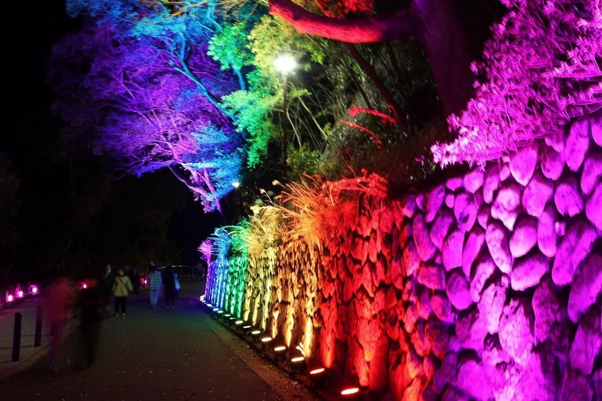 夜の散歩道で虹色のライトアップを楽しむ人々