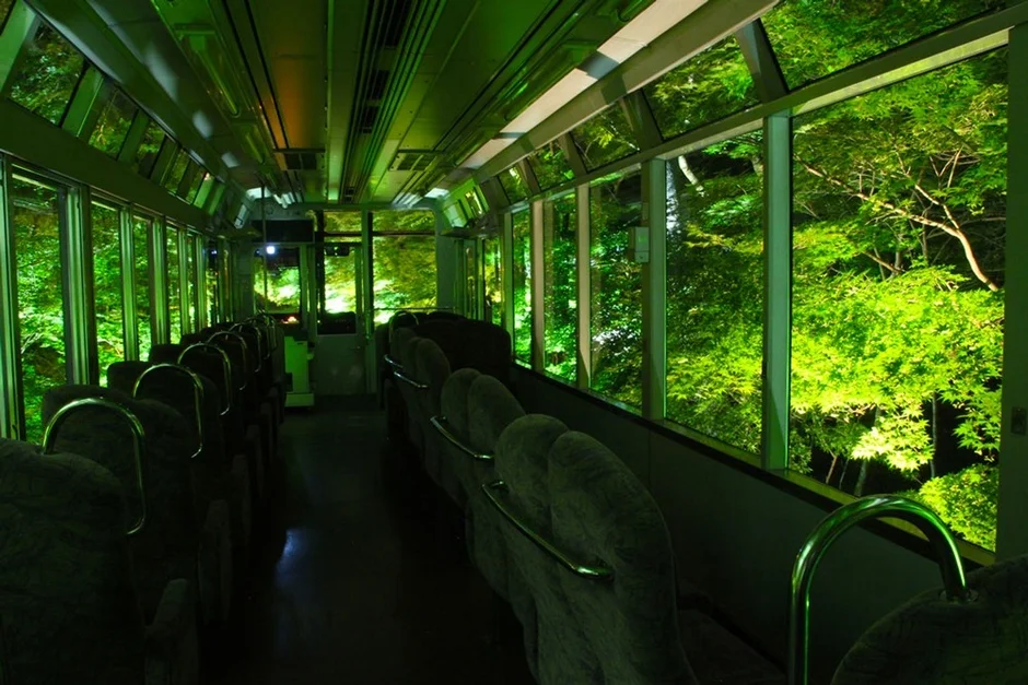 ライトアップ車窓