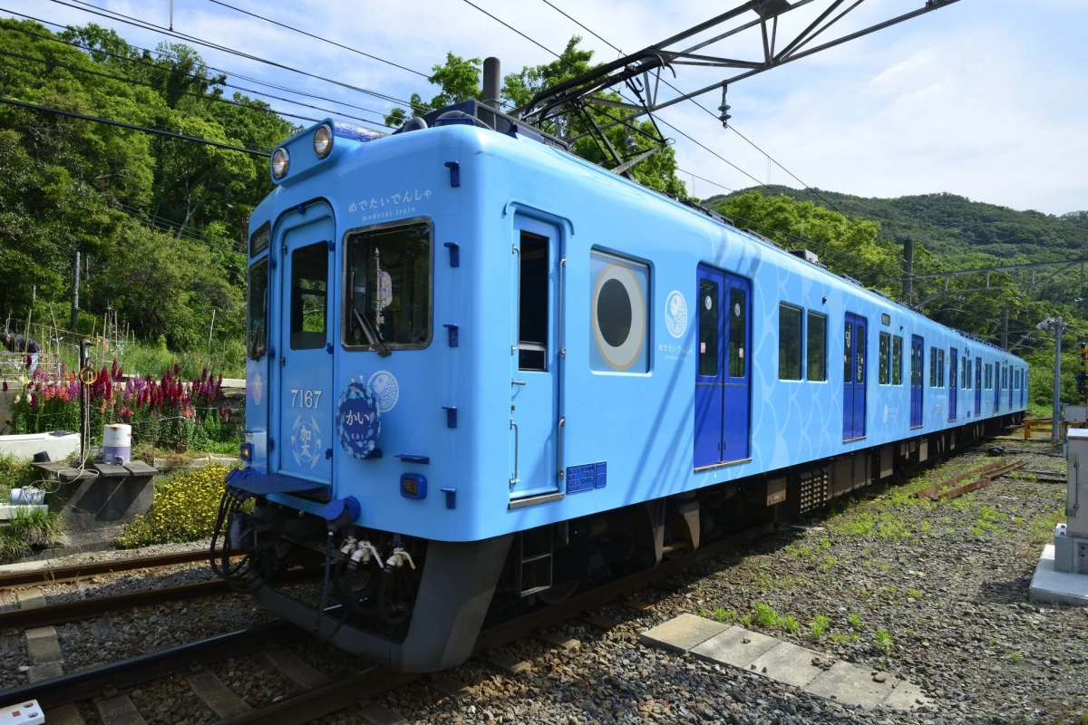 青いめでたいでんしゃ「かい」