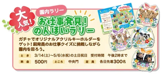 のんほいラリー告知