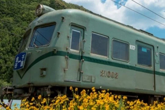 花畑を走るレトロな列車