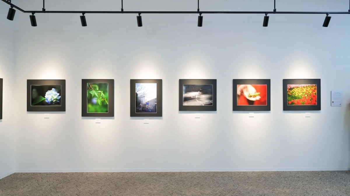 フォトギャラリー