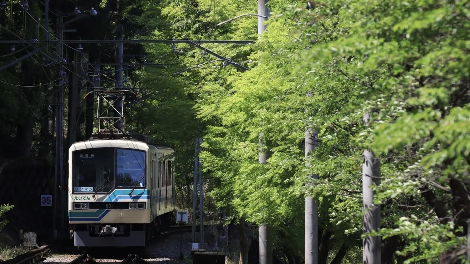 電車と青もみじ