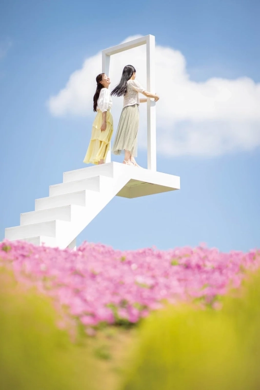 花畑の階段と女性