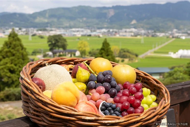 うきはのフルーツ