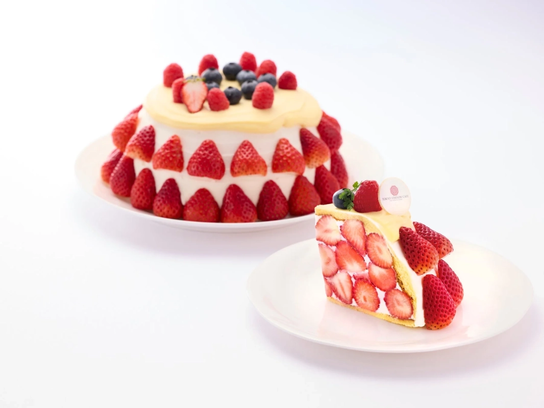 TOKYO STATION CAFE オリジナルドームズコット