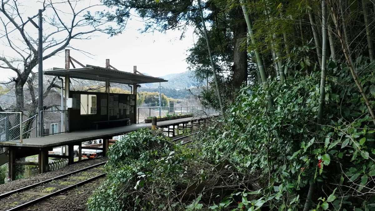 無人駅のプラットホームと竹林