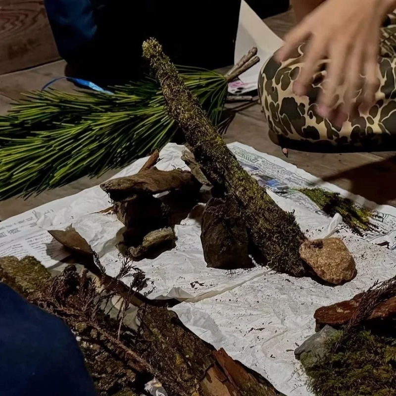 苔むした木材などの自然素材が並べられた様子