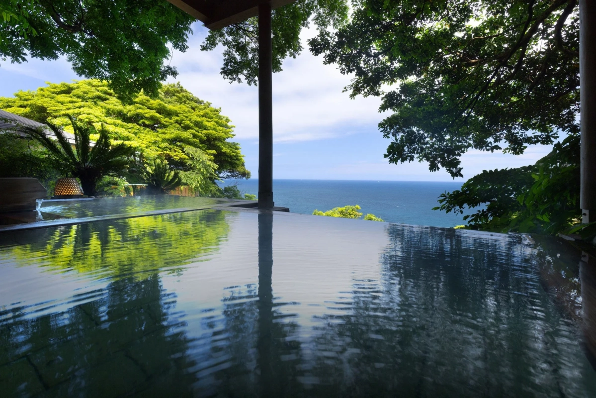 緑豊かなインフィニティプールから広大な海と青空を望む絶景
