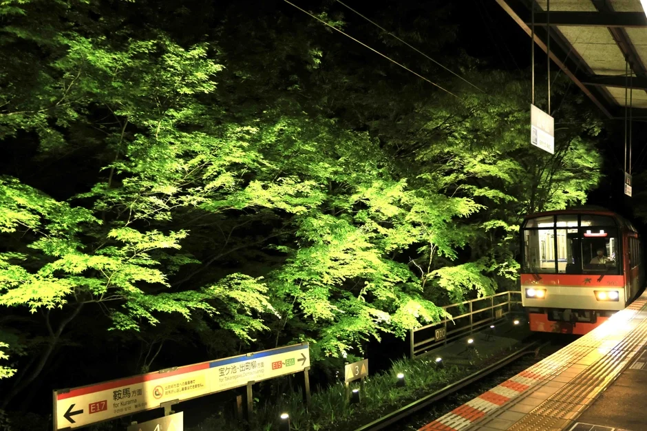 夜の駅ホームに停車する赤い電車と、ライトアップされた青々とした木々が美しい風景