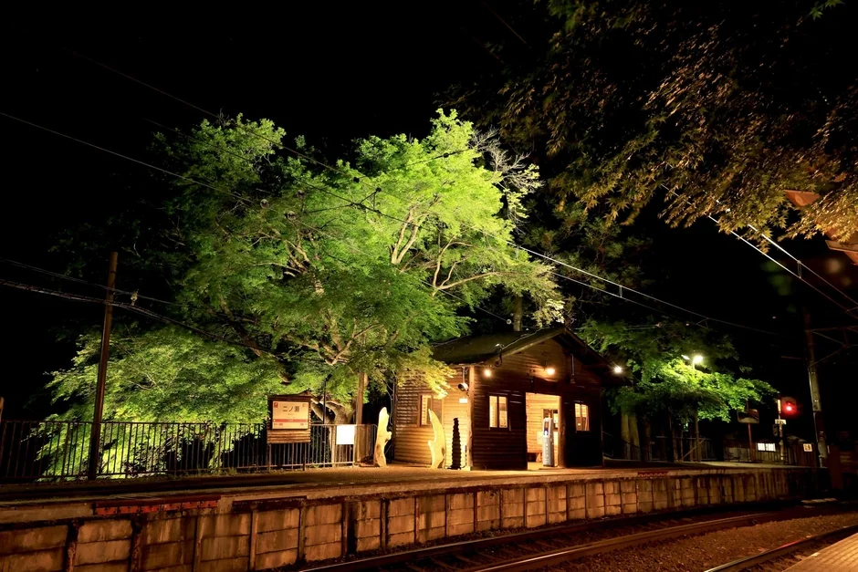 夜の無人駅を捉えた画像。木造の駅舎と、鮮やかにライトアップされた木々が印象的です