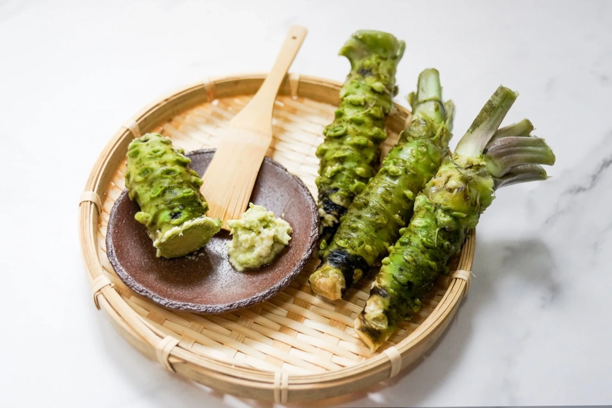 新鮮な本わさびの根茎