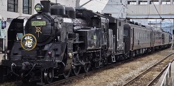 SL大樹 C11 325