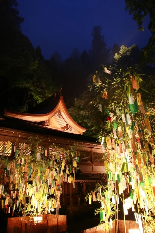 夜の神社で、七夕飾りが美しくライトアップされた様子です