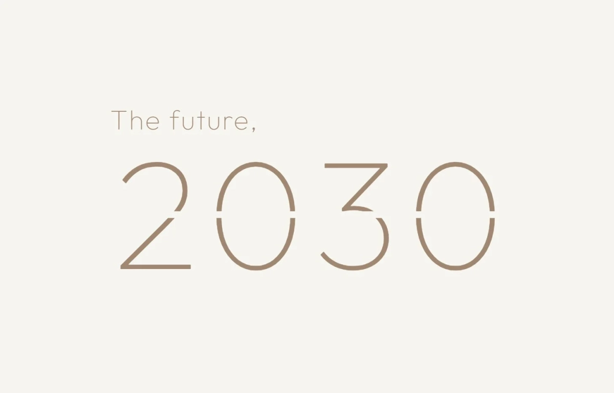 The future, 2030