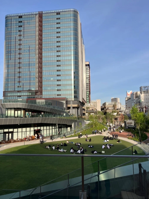 都市公園と高層ビル