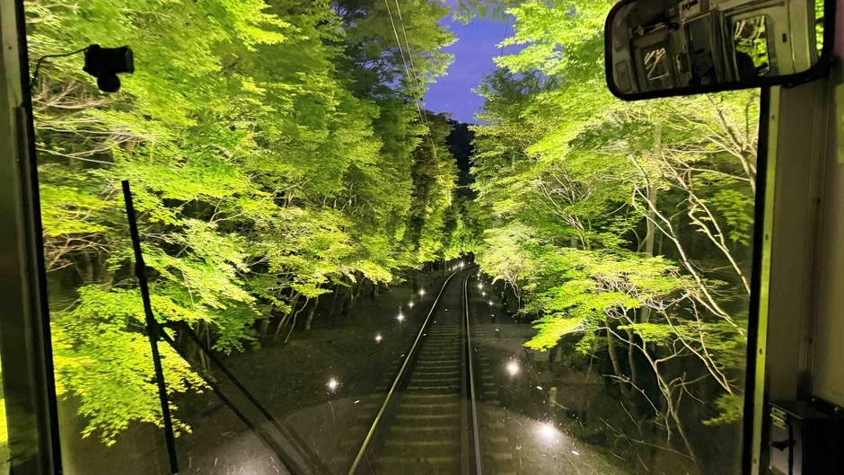 夜の森林を走る鉄道からの眺め。線路の両側にはライトアップされた鮮やかな新緑の木々が連なります