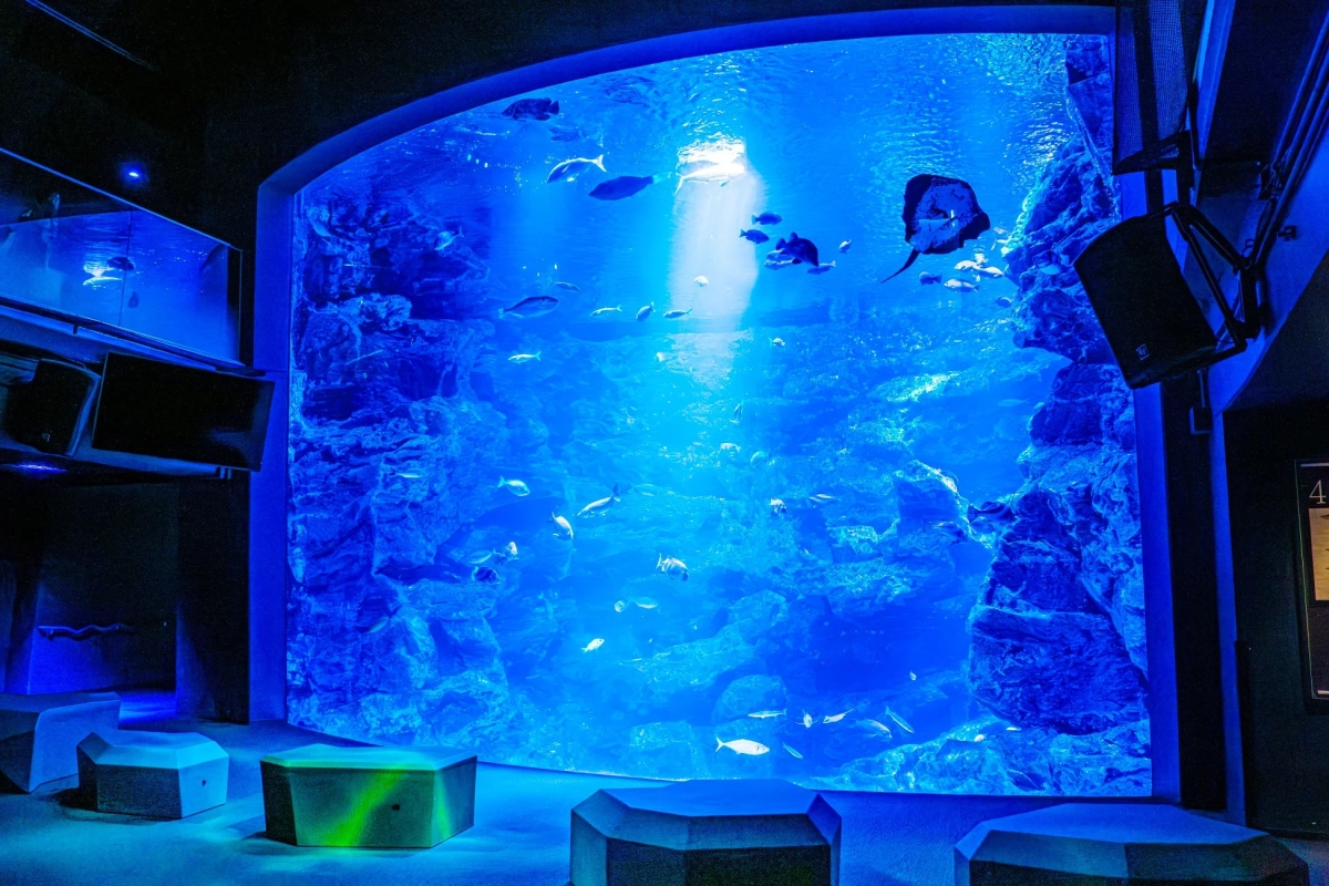 京都水族館