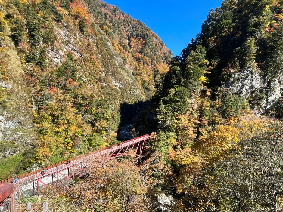 紅葉の渓谷にかかる赤い橋