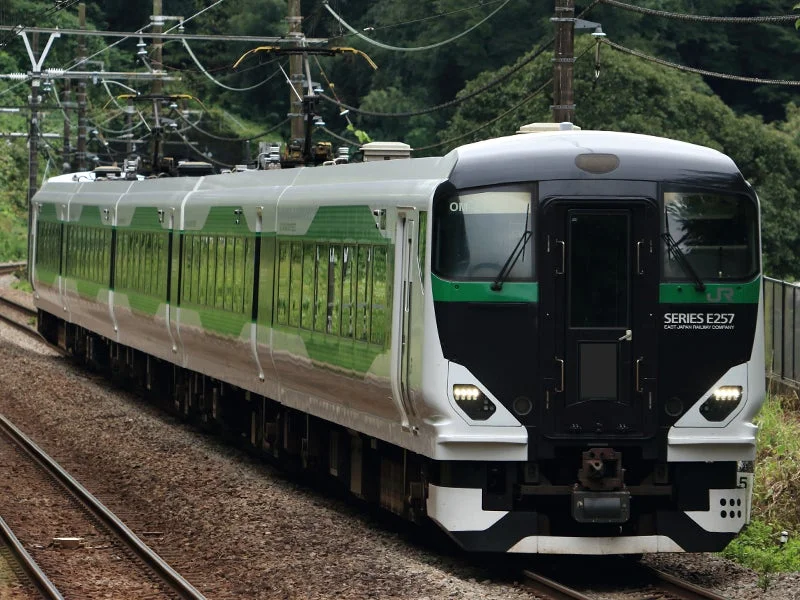 JR東日本E257系特急列車