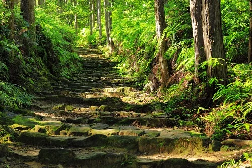 熊野古道 石段