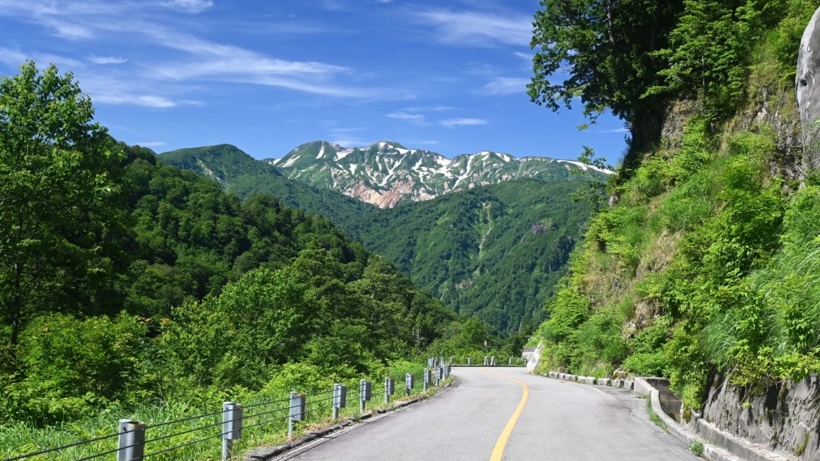 新緑の山々を走るワインディングロード