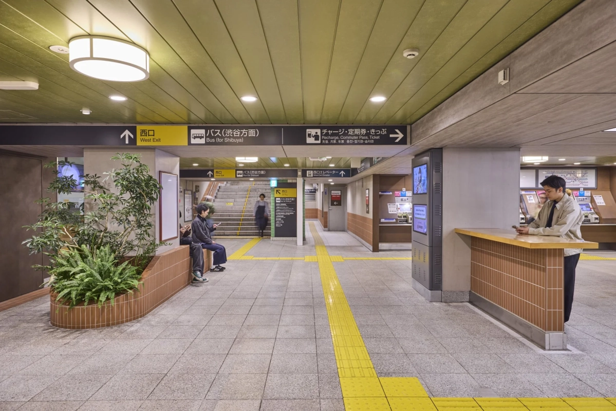 地下通路、植栽
