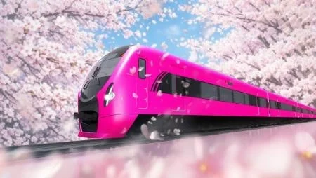 桜並木とピンクの電車