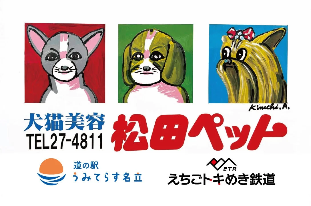 限定フリーきっぷと記念カード