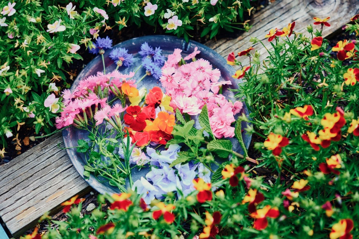 庭の緑の中に置かれた摘みたての花々