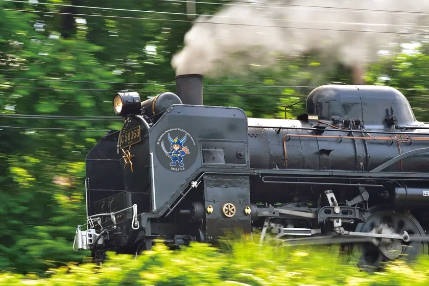 緑豊かな背景の中を、煙を上げながら力強く走行する黒い蒸気機関車C58363の姿