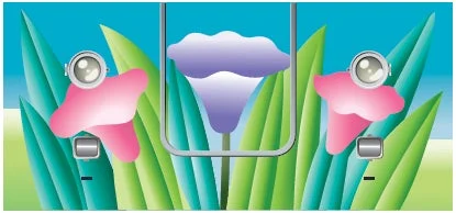 ラッピングデザインのイラスト