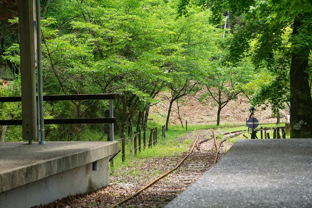 緑豊かな自然の中にひっそりと佇む、ローカル線の駅と線路の風景